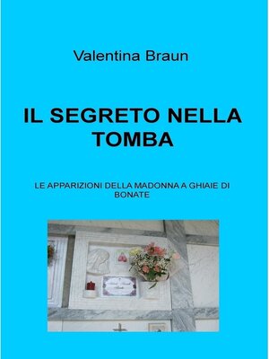 cover image of IL SEGRETO NELLA TOMBA